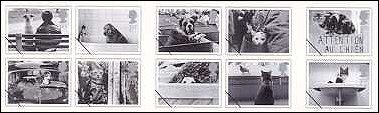 cats and dogs united kingdom