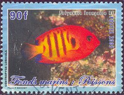 Frans Polynesië