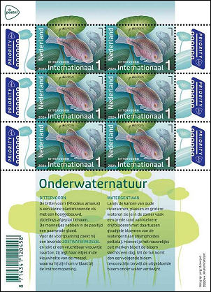 Onderwaternatuur