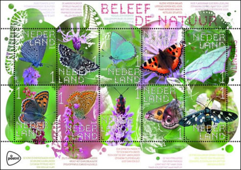 Vlinders in Beleef de Natuur 2019