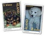 Honden