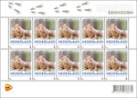 Eekhoorn op persoonlijke postzegel